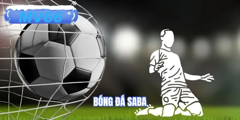 Bóng Đá SABA