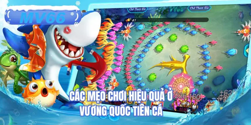 Các mẹo chơi hiệu quả ở vương quốc tiên cá