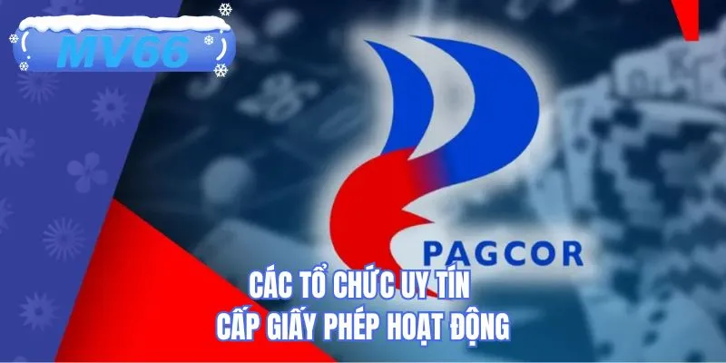 Các tổ chức uy tín cấp giấy phép hoạt động