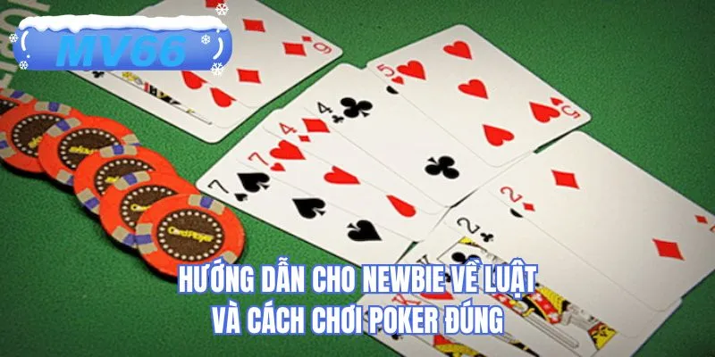 Hướng dẫn cho newbie về luật và cách chơi poker đúng