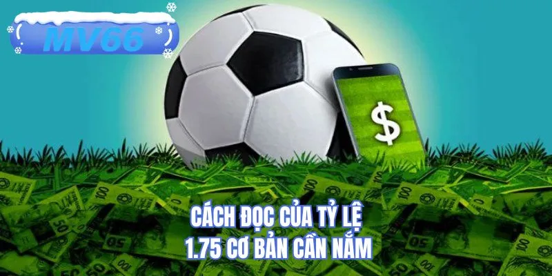 Cách đọc của tỷ lệ 1.75 cơ bản cần nắm