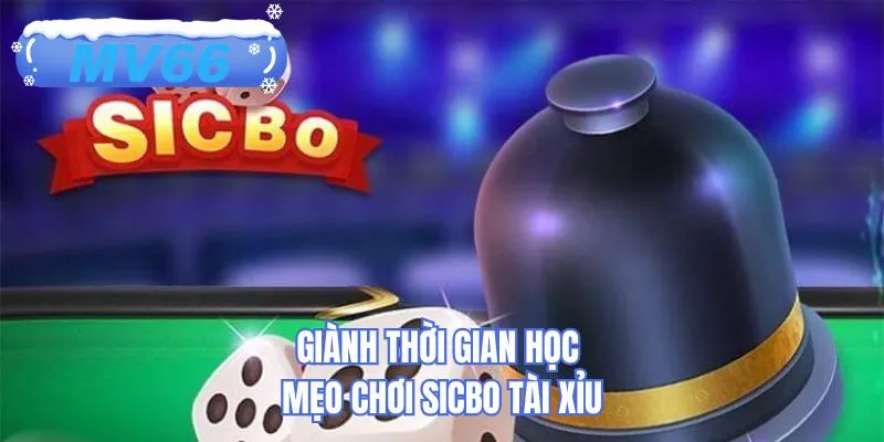 Giành thời gian học mẹo chơi Sicbo tài xỉu
