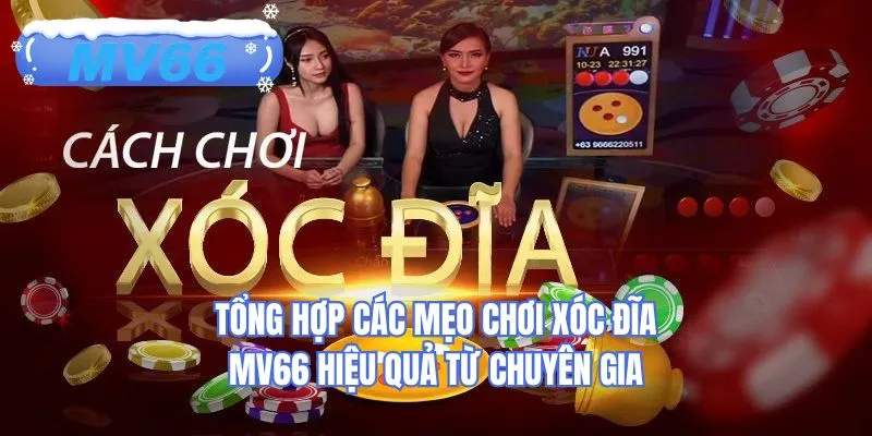Tổng hợp các mẹo chơi xóc đĩa MV66 hiệu quả từ chuyên gia