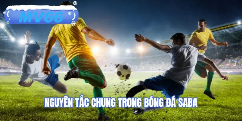Nguyên tắc chung cần quan tâm trong bóng đá SABA